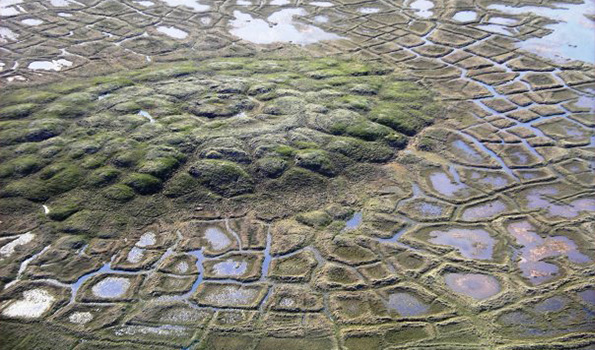 A melting pingo and polygon wedge ice